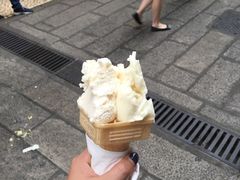 -柠檬车露(卖草地店)