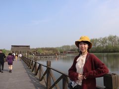 -溱湖国家湿地公园