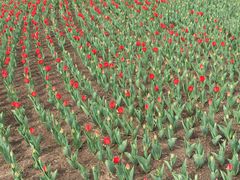 -长春公园(普阳街道)