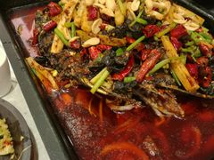 -紫光园(顺义店)