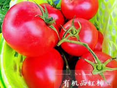 -大自然农场蔬菜草莓采摘园