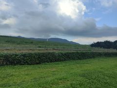 -光明小镇欢乐田园
