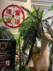 -重道造型