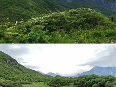 -太子岭滑雪场