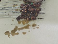 -杨记烤肉老店