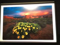 -罗红摄影艺术馆