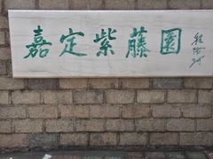 -嘉定紫藤园