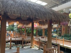 -南宫五洲植物乐园