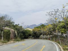 -那琴半岛地质海洋公园