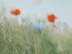 -嘉北郊野公园