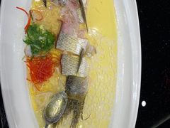 -常州环球恐龙城维景国际大酒店