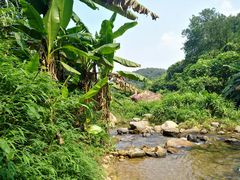 -梧桐山风景名胜区