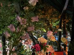 -Bistro Les Lilas丁香花小酒馆