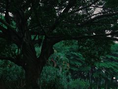 -荔香公园