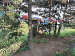 -阳台山自然风景区