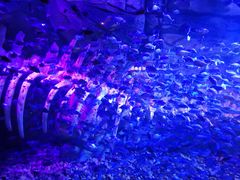 -波塞冬旅游度假区