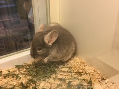 -龙猫仔乐园(惠福东路店)