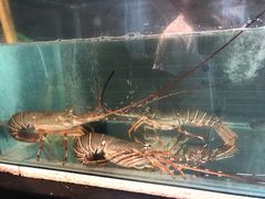 -泰华海鲜中餐厅(普吉镇店)