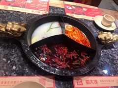 奔驰锅底-蜀大侠火锅(森兰花园城店)
