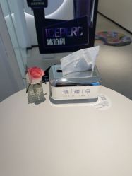 -玛莲朵·海菲秀冰珀科
