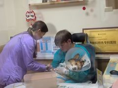 -瑞派宠物医院·24h·骨外科·皮肤科·全科宠物医疗转诊中心(沈阳浑南院)