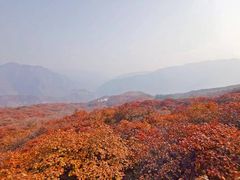 -周口店坡峰岭风景区