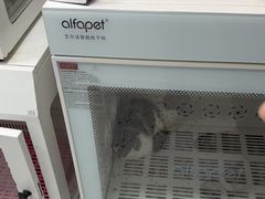 -瑞派康怡24h宠物医院·犬猫医疗中心·微创绝育(瑞景分院)