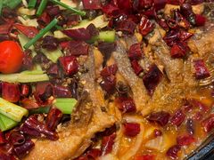 -老板恋上鱼(印象城店)