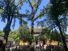-西园戒幢律寺