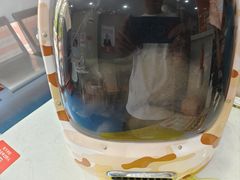 -创凡宠物医院·骨专科  猫科中心(西乡分院)