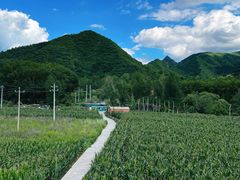 -遥桥古堡