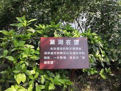 -重庆彩云湖湿地公园