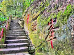 -缙云山景区