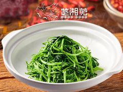 -楚湘苑(商品街大道店)