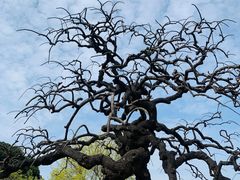 -玄武湖景区-情侣园游乐场