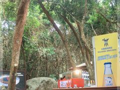 -亚龙湾热带天堂森林公园