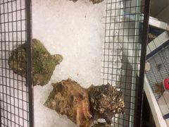 -长沙三景韦尔斯利酒店·Oval全日制餐厅自助餐