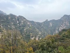 -大岭沟猕猴桃谷风景区
