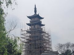-嘉定紫藤园