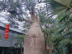 -国家植物园南园