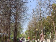 -上海浦江郊野公园-3号停车场