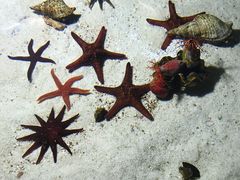 -福州罗源湾海洋世界旅游区