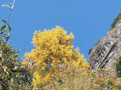 -大慈岩风景区