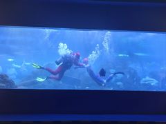 -重庆欢乐海底世界