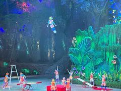 -广州长隆国际大马戏