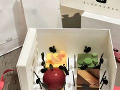 -BLACKSWAN黑天鹅(环球店)