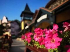 -深圳东部华侨城茵特拉根酒店