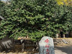 -青岛崂山太清宫