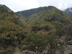 -林坑古村落