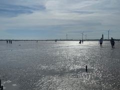 -奉贤海滩